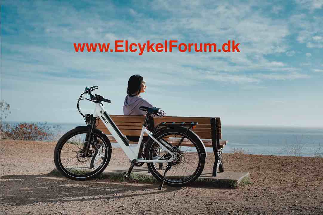 Hvad er promillegrænsen for elcykler?